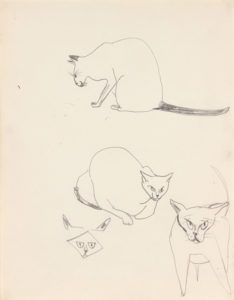 -Image 10 (Siamese Cats)-Graphite on Paper-11 x 8.5