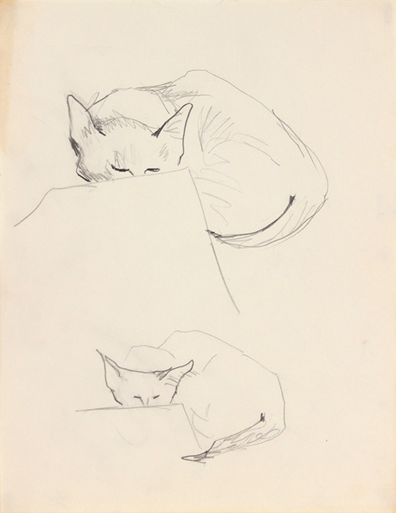 -Image 11 (2 Cats)-Graphite on Paper-11 x 8.5
