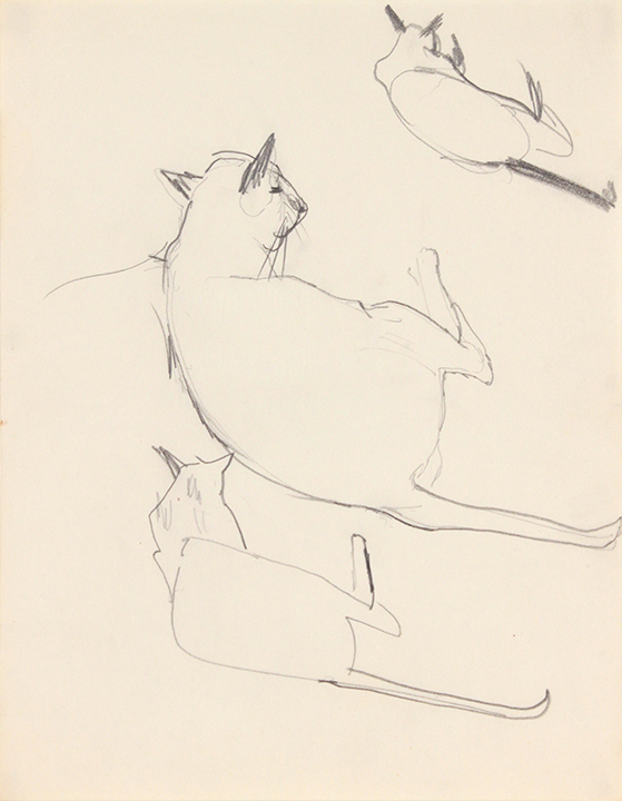 -Image 12 (3 Lying Cats)-Graphite on Paper-11 x 8.5