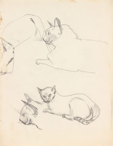 -Image 16 (2 Cats