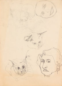 -Image 18 (Front 3 Cats