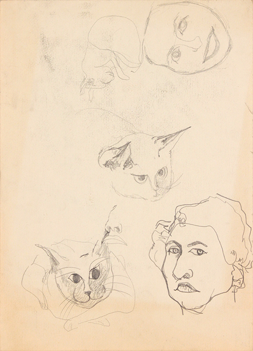 -Image 18 (Front 3 Cats